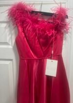 Mac Duggal 11684 Women's Formal Dress Sz 10 Pink Satin Feather Trim A-Line Gown - Image 6